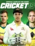 Cricket 19