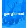 Garry's Mod