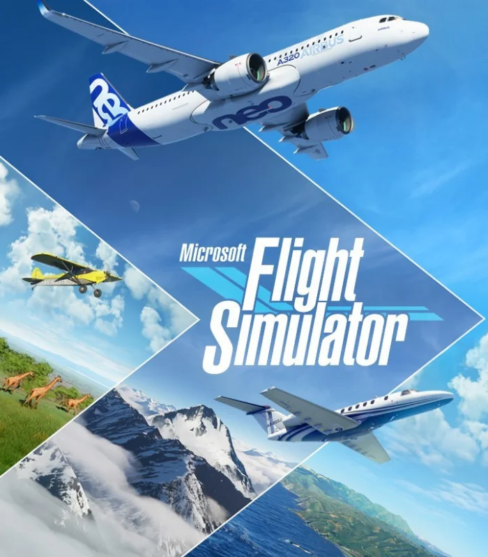 Microsoft Flight Simulator