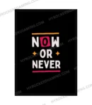 Now or Never Motivational Wall Poster
