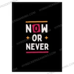 Now or Never Motivational Wall Poster