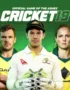 cricket 19